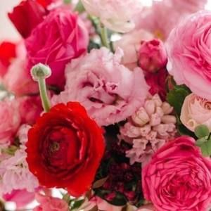 Meet your Posher, Scarlett